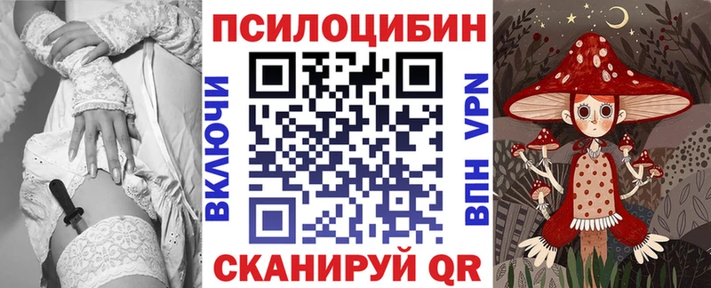 ссылка на мегу tor Камышин Псилоцибиновые грибы прущие грибы сколько стоит
