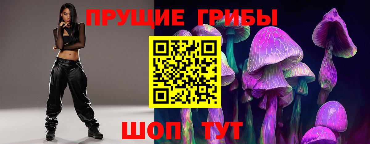 Галлюциногенные грибы Psilocybe Камышин