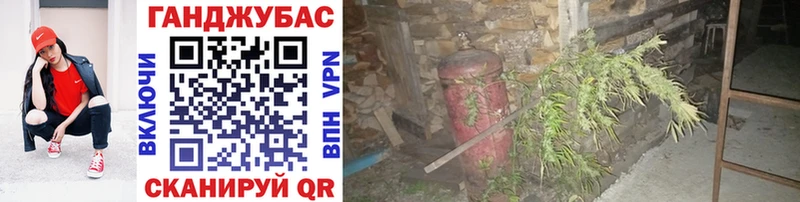 закладки  Камышин  Марихуана тримм 
